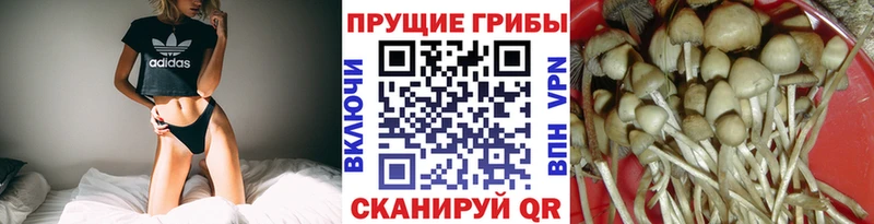 кракен вход  купить наркотик  Арамиль  Галлюциногенные грибы мухоморы 
